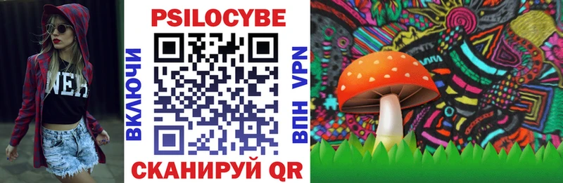 где купить   Талица  даркнет клад  Псилоцибиновые грибы Psilocybine cubensis 